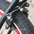 エントリー レベルBMX Freestyelのバイク、メンズ トリックは高い耐久性を自転車に乗ります