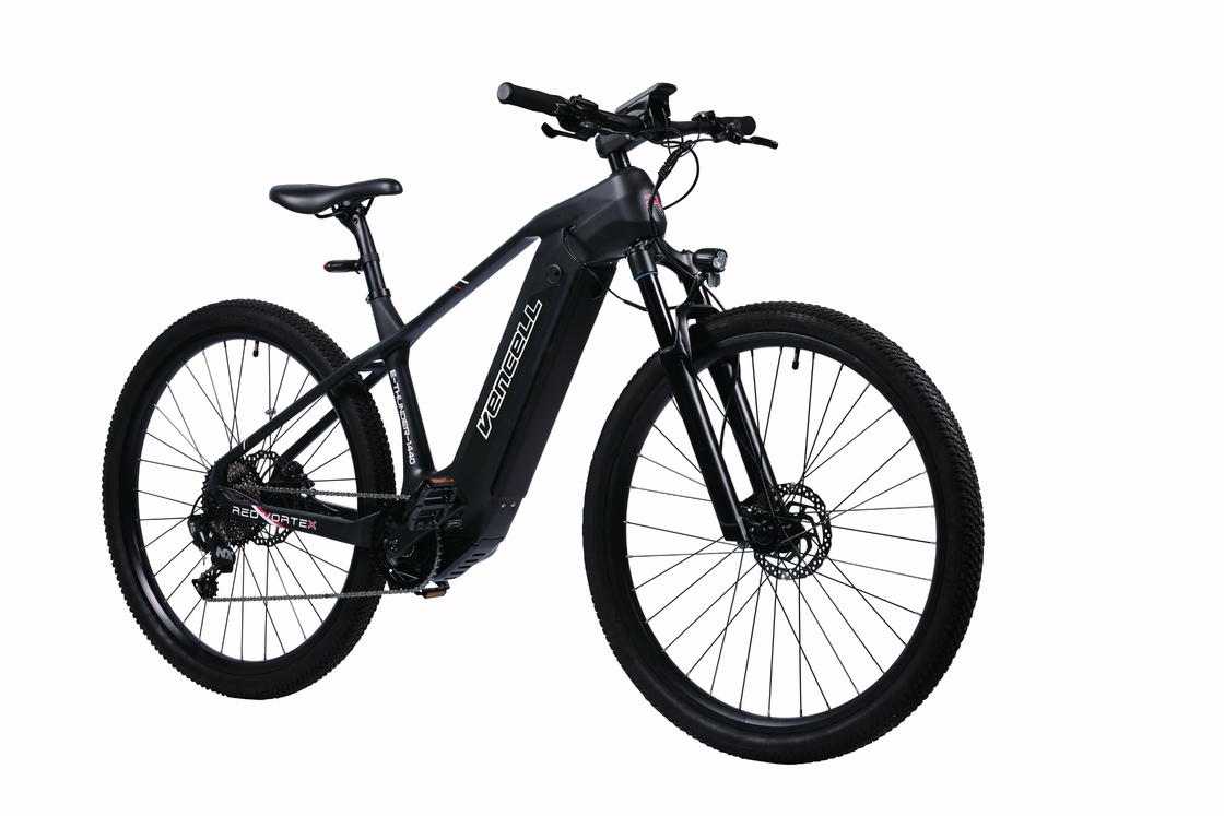 ブラック・カーボン・フレーム 電気駆動マウンテン・サイクル 液圧ディスクブレーキ性能と36V 15.6Ahバッテリー容量